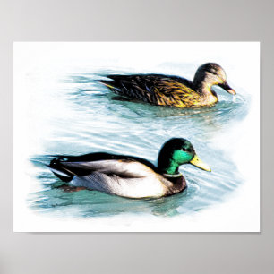 Enten am See Poster