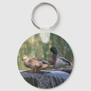 Enten an den Fällen Schlüsselanhänger