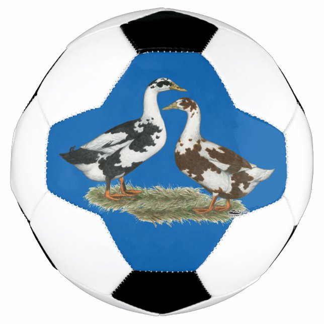 Enten Ancona Pair Fußball (Vorderseite)