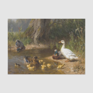 Enten auf dem Wasser von Carl Jutz Seidenpapier