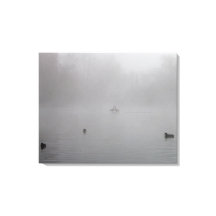 Enten auf einem nebeligen See