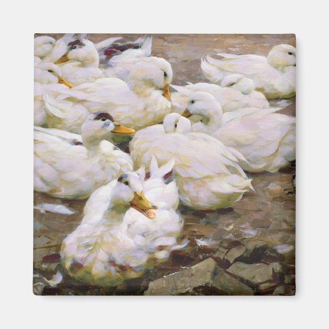 Enten auf einem Teich Magnet (Vorne)