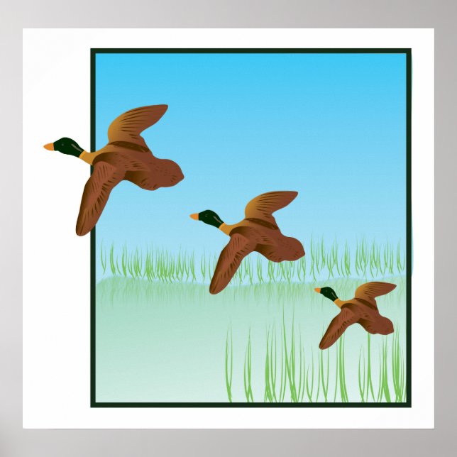 Enten auf einem Teich Poster (Vorne)