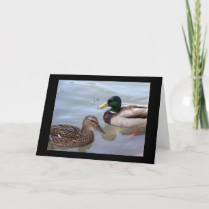 Enten auf einer Teich-Karte Karte
