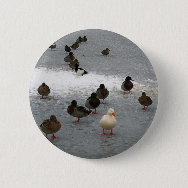 Enten auf Eis Button (Vorderseite)