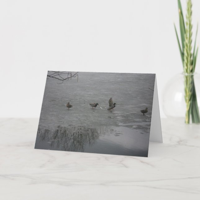 "Enten auf Eis" Danke Karte (Vorderseite)
