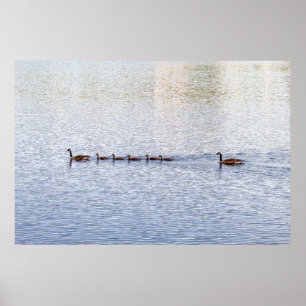 Enten auf Glen Lake Poster