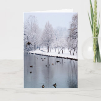 Enten auf The Creek Karte
