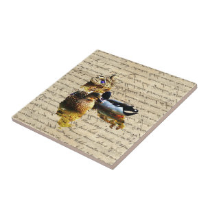 Enten auf Vintage-Papier Fliese