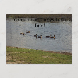 Enten auf Wasser Einladung Postkarte