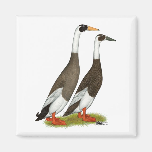 Enten: aufgeblasene Läufer Magnet (Vorne)