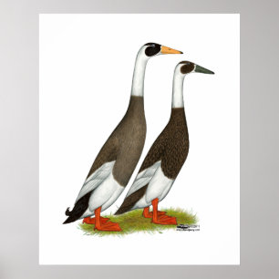 Enten: aufgeblasene Läufer Poster