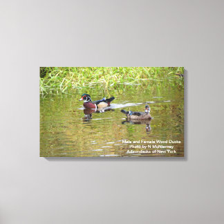 Enten aus männlichem und weiblichem Holz Leinwanddruck