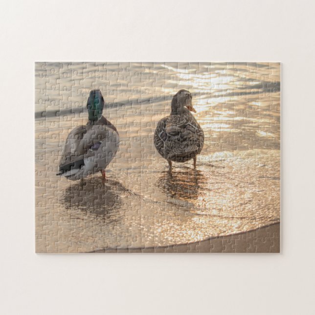 Enten bei Sunset Puzzle (Horizontal)