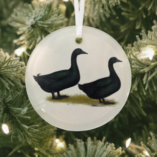 Enten:  Black Cayugas Ornament Aus Glas