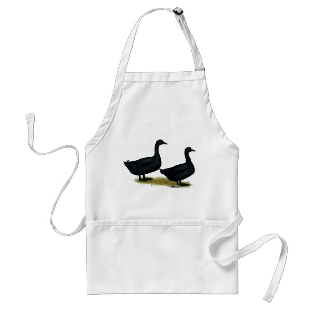 Enten:  Black Cayugas Schürze (Vorne)