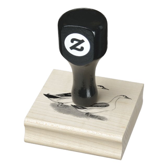 Enten: Blue Magpies Gummistempel (Stempel)