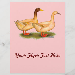 Enten: Buff Orpington Flyer