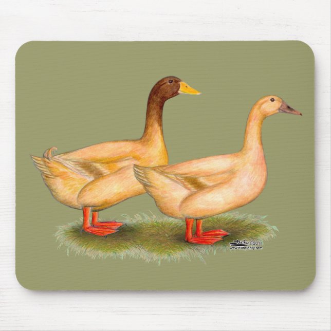 Enten: Buff Orpington Mousepad (Vorne)