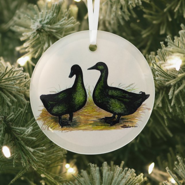 Enten: Cayuga Pair Ornament Aus Glas (InSitu)
