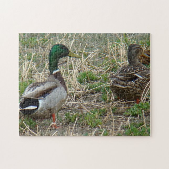 Enten der Stockenten-B12 Puzzle (Horizontal)