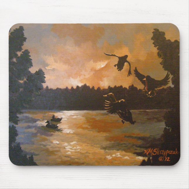 Enten, die sich in der Mauspad halten (Vorne)