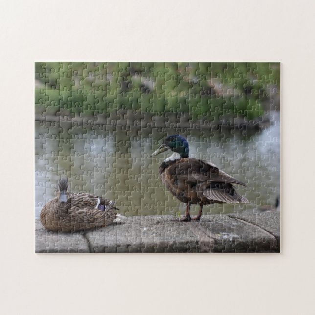 Enten durch die Wasservogelfotografie Puzzle (Horizontal)