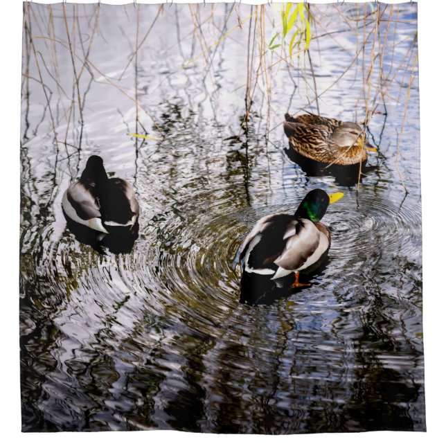 Enten Duschvorhang (Vorderseite)