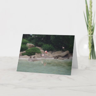 "Enten & Flamingos" Dankeschön Karte