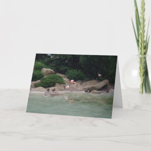 "Enten & Flamingos" Dankeschön Karte (Vorderseite)