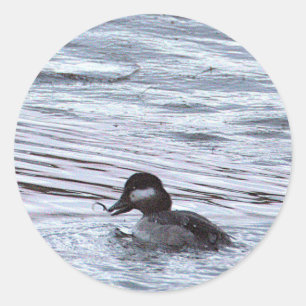 Enten-Foto-Aufkleber Runder Aufkleber