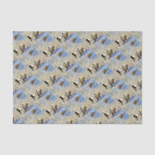 Enten-Foto Seidenpapier