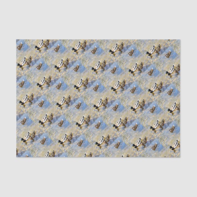 Enten-Foto Seidenpapier (Vorderseite)