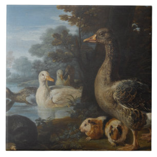 Enten Guinea Schweine und ein Kaninchen in einem b Fliese