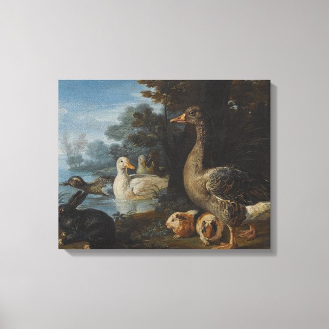 Enten Guinea Schweine und ein Kaninchen in einem b Leinwanddruck (Vorderseite)
