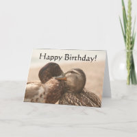 Enten Happy Birthday Card