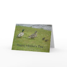 Enten Happy Mütter Day