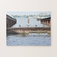 Enten im Hudson River New York City Fotograf