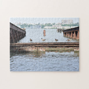 Enten im Hudson River New York City Fotograf Puzzle