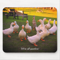 Enten im Park Funny Wir sind alle Quacker