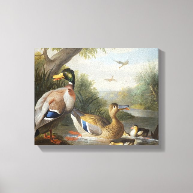 Enten in der Flusslandschaft Leinwanddruck (Vorderseite)
