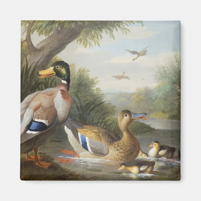 Enten in der Flusslandschaft Magnet (Vorne)