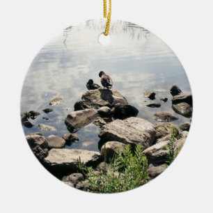 Enten in einem Fluss. Enten ruhen im Sommer auf Fe Keramik Ornament