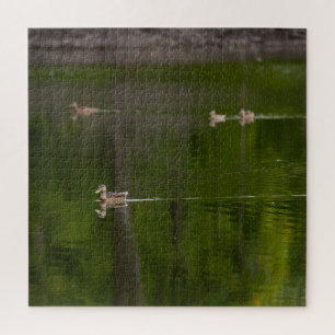 Enten in einem grünen See Puzzle