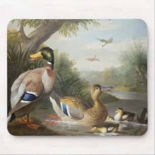 Enten in einer Fluss-Landschaft Mousepad