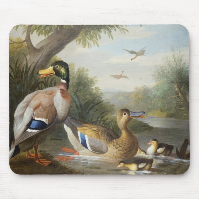 Enten in einer Fluss-Landschaft Mousepad (Vorne)