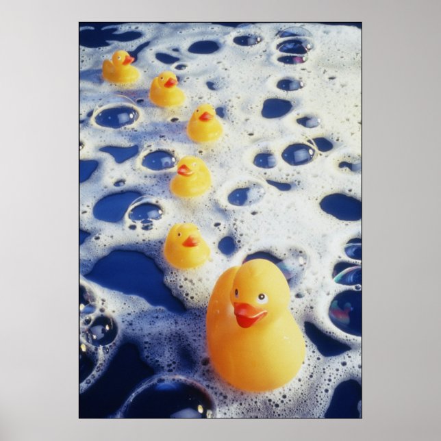 Enten in einer Reihe Poster (Vorne)