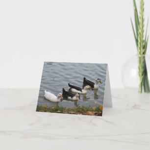 Enten in einer Row-Note-Karte Karte
