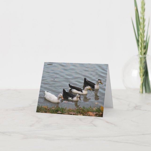 Enten in einer Row-Note-Karte Karte (Vorderseite)