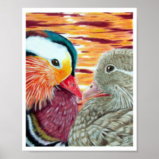 Enten in Liebe Poster